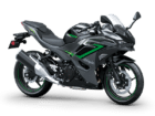 ninja 500 se gris