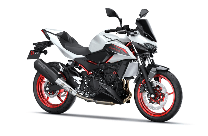 Z500 SE – PERFORMANCE REMUS – GREEN DEALS