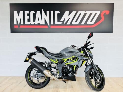 z1251